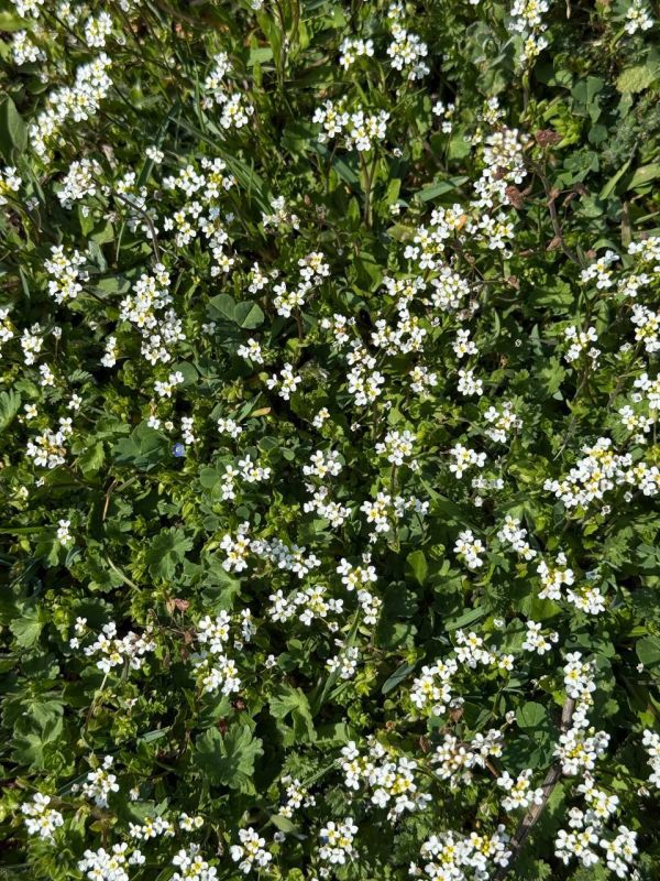 Погода на 4 апреля:. • переменная облачность, дождь