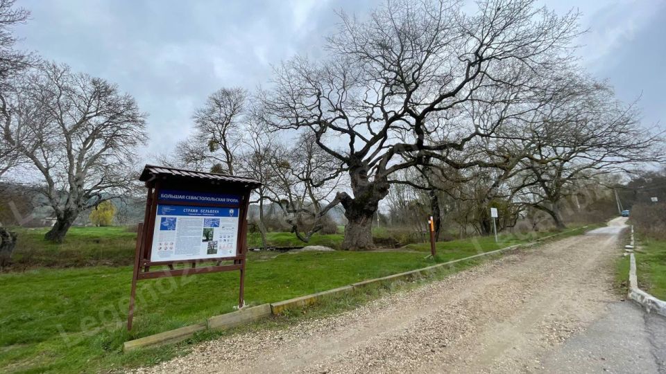 ������������� ��������� ������ �� ���������� ��������� ������� ������� ��������