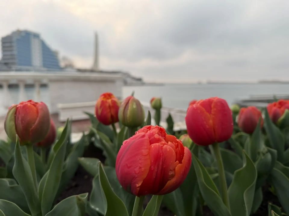 Доброго субботнего утра, друзья!