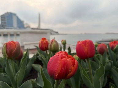 ������� ���������� ����, ������!