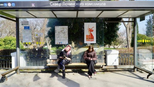 Пушистый символ Севастополя: как кошка Мася 14 лет живёт на остановке и лечит людей массажем