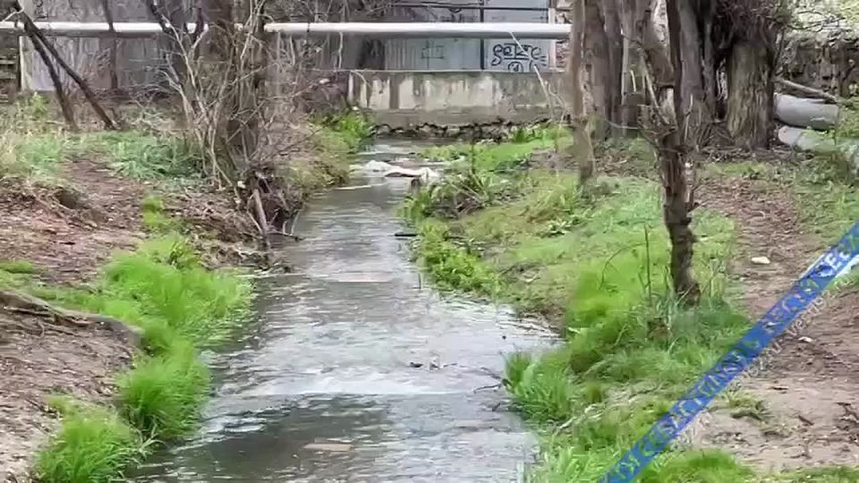 В Балаклаве проходит субботник