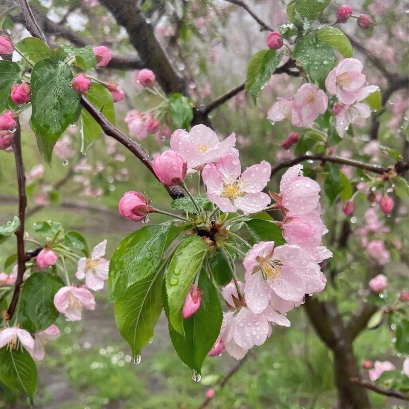 Прогноз погоды в Крыму на 4 апреля