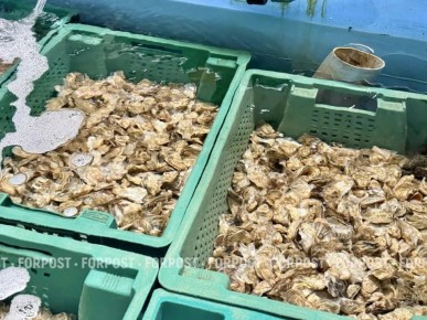 ������� ������� � ����������� ����� ������� ���� �������� �� ����������� �� �����