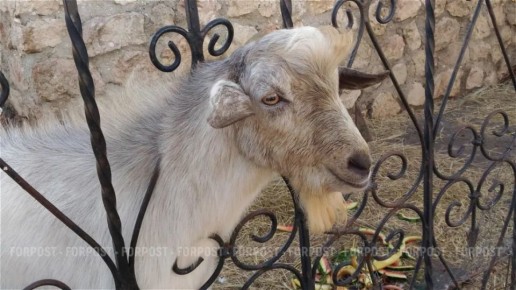 � ����������� �������� ������� ���������� ��� � �������� �����, �� ������� 25 ����� ������ ���� ��������� �����