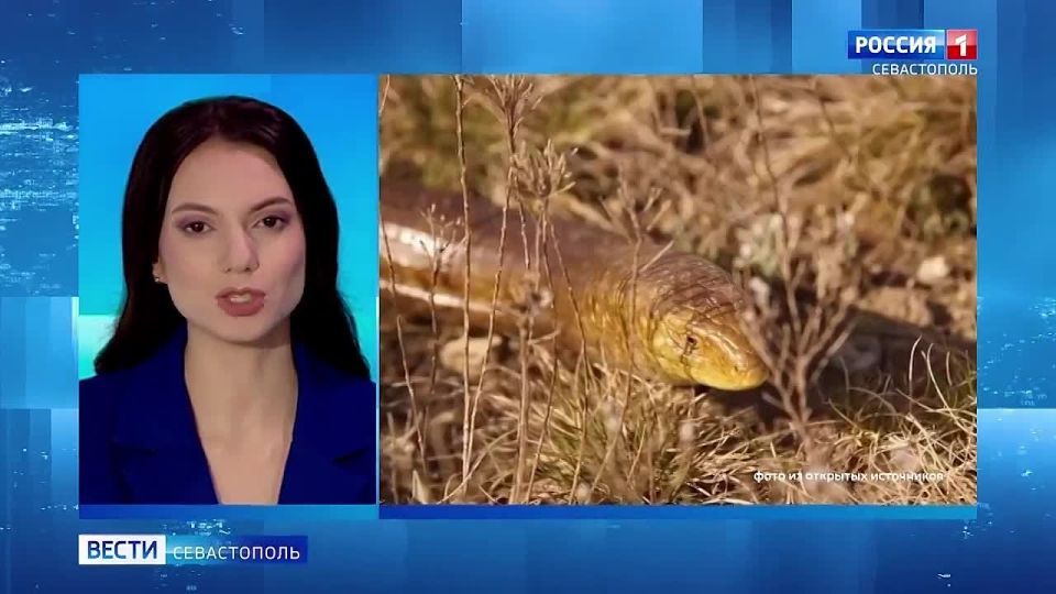 Подведём итоги минувшей недели