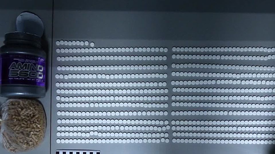 В Крыму пресекли международный канал поставки наркотиков