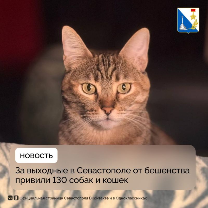 �� ���� �������� ���������� ������� �� ��������� 130 �������� ��������