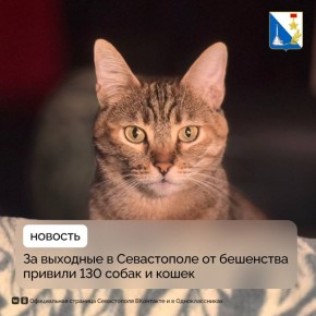 �� ���� �������� ���������� ������� �� ��������� 130 �������� ��������