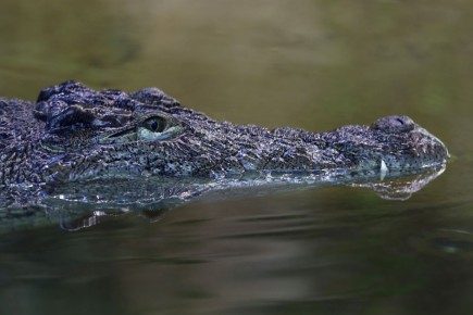 ��������� � ���� ����� �������� ������� �����?