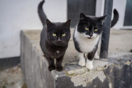 �� �������� � ����������� �� ��������� ������� 130 ����� � �����