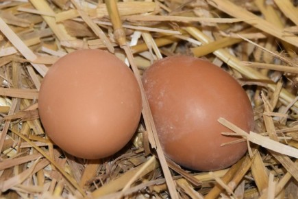 �������, �� �������: ����� ������� ����� ������������ ����� ������� ����