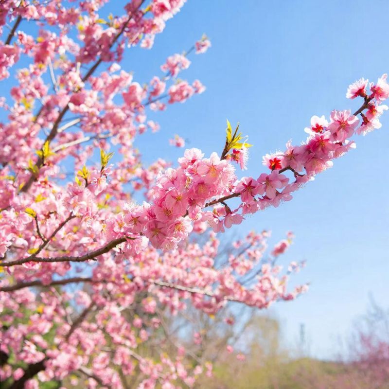 ������� ������ � ����� �� 6 ������