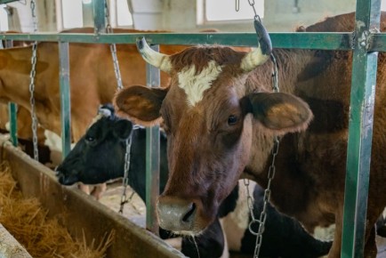 ��������� ����� ������ �� �������� ��� ������������