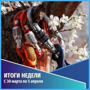 ������������ ������������. ������� ������ � 31 ����� �� 05 ������