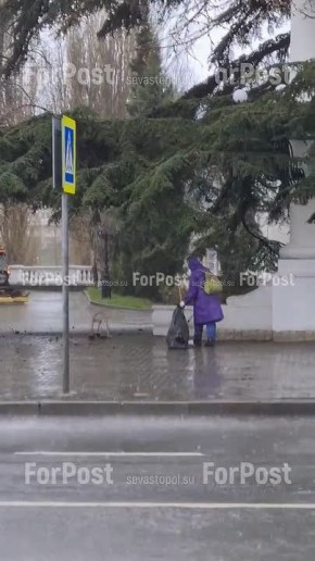 �������� �������� � ����������� ����� ����� ���� ��� ��������� ������