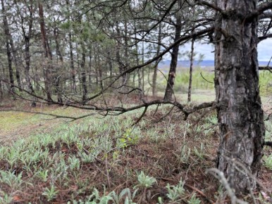 ��� ������ ����� �� ��������������� ���� ����������� �������� ������ ����� ������� ��������