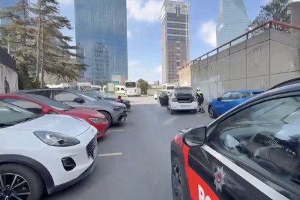 ���� ������ �� �������������� ������� � ��������