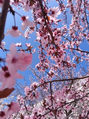 Губернатор Севастополя Михаил Развожаев объявил понедельник 13 апреля нерабочим праздничным днём в связи с Пасхой