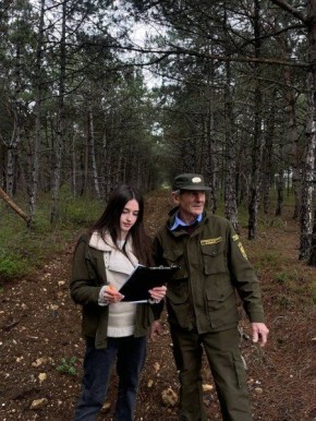 �������� �������� �� ������ ����