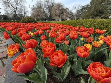 � ������ �����, ������!. 8 ������ ���� �����