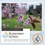 Здравствуй, Севастополь!. По данным гидрометцентра, 8 апреля в Севастополе будет облачно с прояснениями
