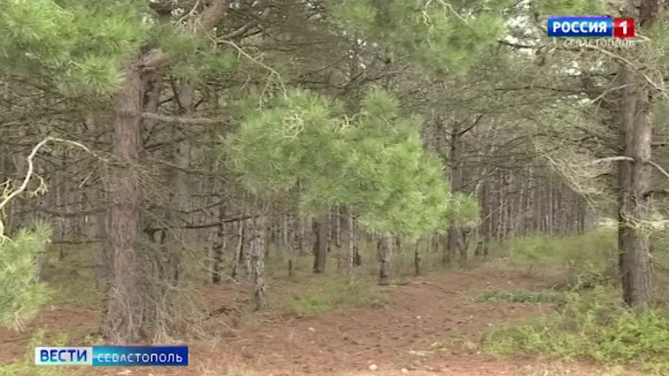 ��� ����� �� ������ ������� ������� �����������
