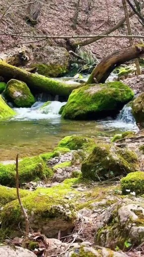 ���� ����-������� ���������� ����� �� ������� ������� ��������� � ����� �����