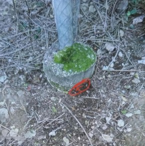 ������������ ����� ������� � ���������� ��� ����� ��������������