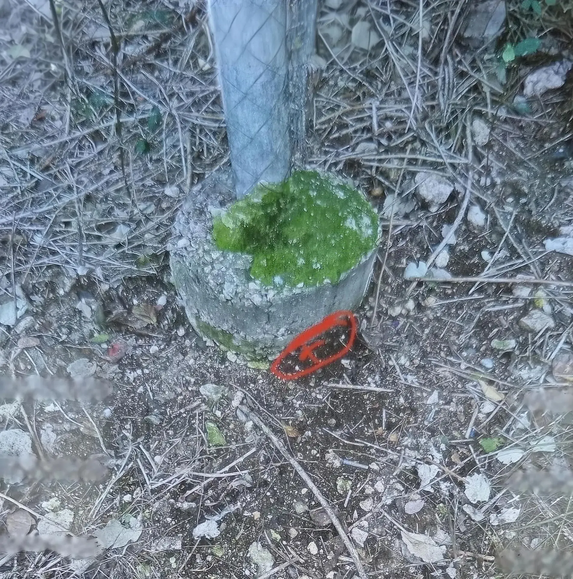 Севастополец делал тайники с закладками для банды наркоторговцев
