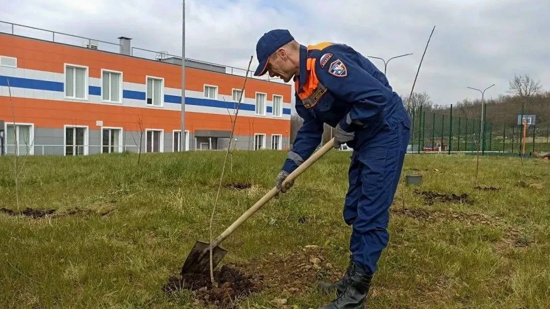 Сад растет: продолжаем озеленение на территории 11-й пожарно-спасательной части в селе Павловка