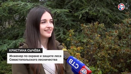 ��������������� ���������: ������� � ������ �������� ��������������� ����