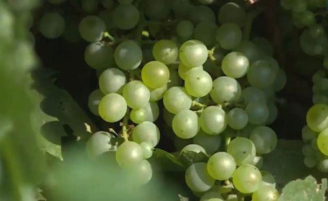 � ����������� �������� �������� ������ 300 ����������� ����������