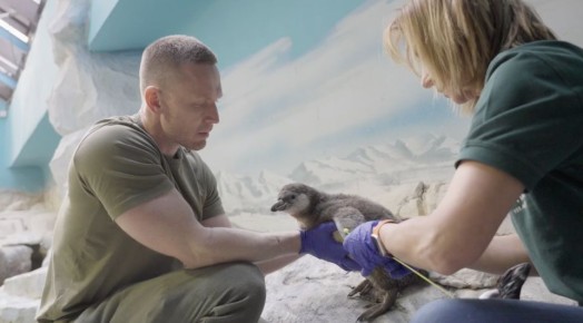 � ���������� �������� �������� ������ ���������