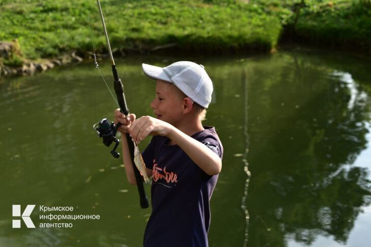 У берегов Крыма нашествие кефали, саргана и форели: ТОП рыбных мест