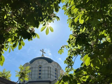 ������ ������� � �����������: ����� ���� ������ � ������� ����