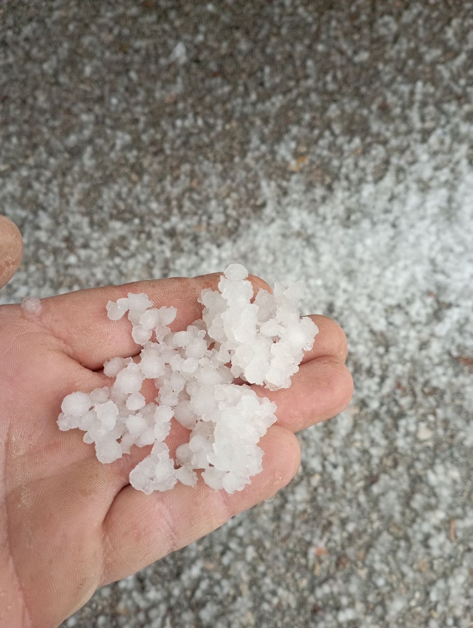 В Севастополе сейчас град. Об этом сообщают наши подписчики