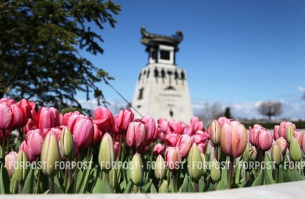 ������� ����� �� ������: ������������ ��� ��������� ���������� ����� �����������