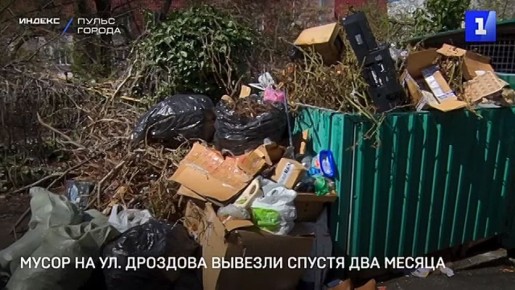 Мусор из контейнера на ул. Дроздова вывезли спустя два месяца