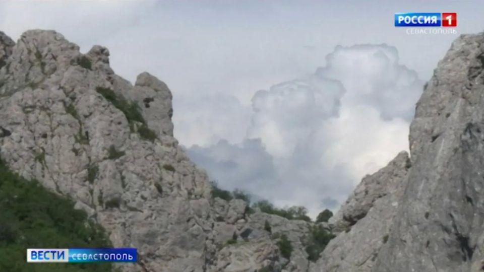 � ����� ��������� ��������� ��� ��������� ��� �����������