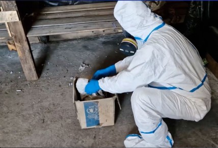 ��������: �� ������� ����������� ���������� �������������� ������