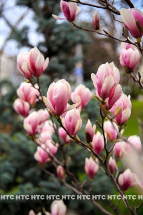 ����� � ������� ������. � ����������� ���������� �� ������ ������