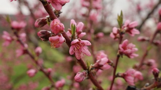 �������� ������: � ����� ������� ���������� �������