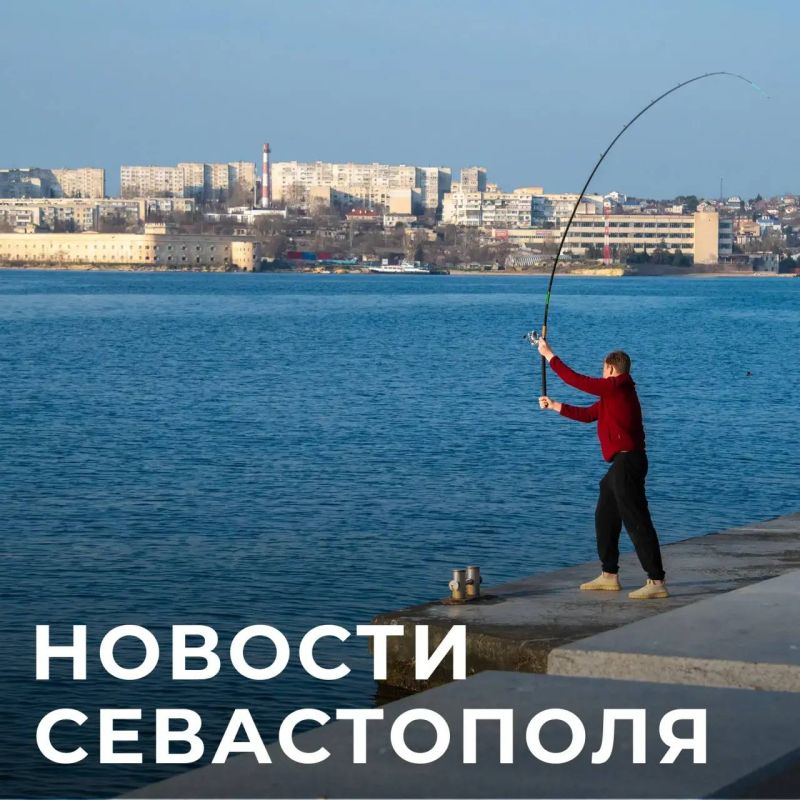 ������ ���������: ������� � �������:. ��������� ������������� �����������: