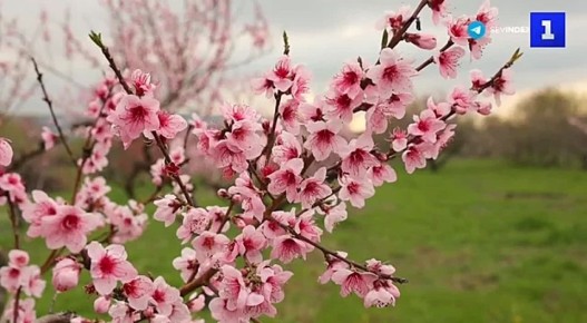 �������� ������: � ����� ������� ���������� �������