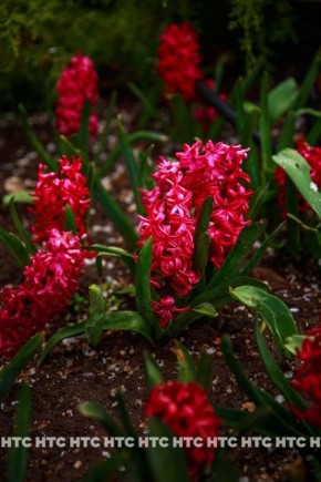 ����� � ������� ������. ������ ��� ���� �������� ����� ����������