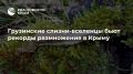 Грузинские слизни-вселенцы бьют рекорды размножения в Крыму
