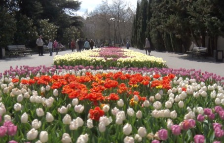 �� ���������� �������� � ������ �������� ���������