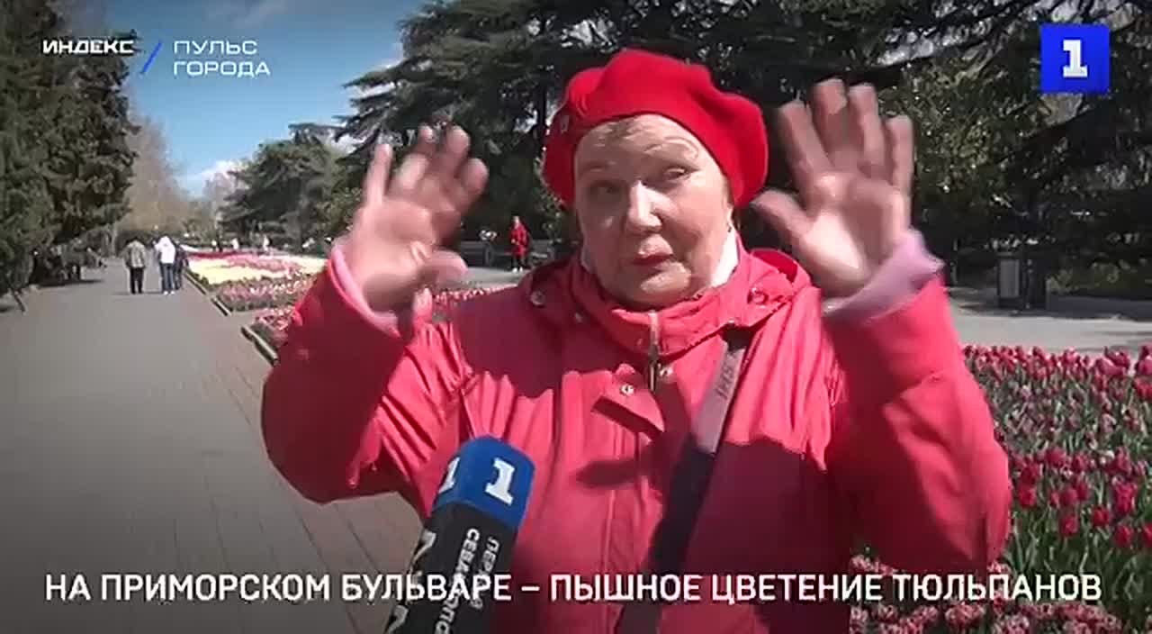 Приморский бульвар в Севастополе украсили тысячи разноцветных бутонов