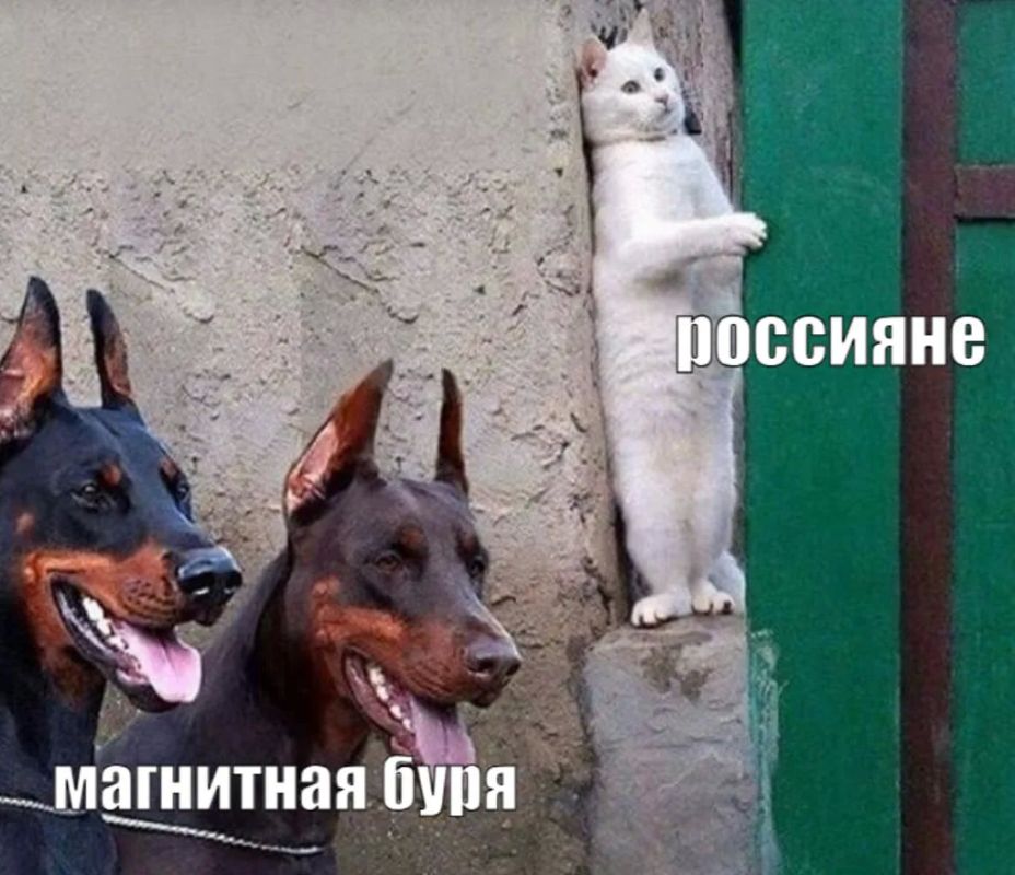������� ��������� ���� � 13 �� 19 ������